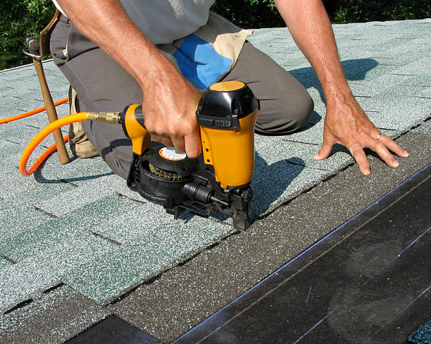 Best Roof Gutter Cleaning  in Buffalo, WY